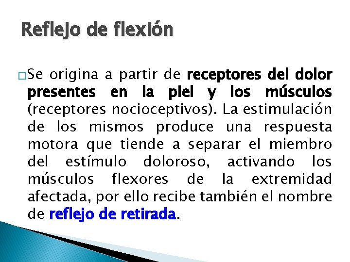 Reflejo de flexión �Se origina a partir de receptores del dolor presentes en la Reflejo de flexión �Se origina a partir de receptores del dolor presentes en la