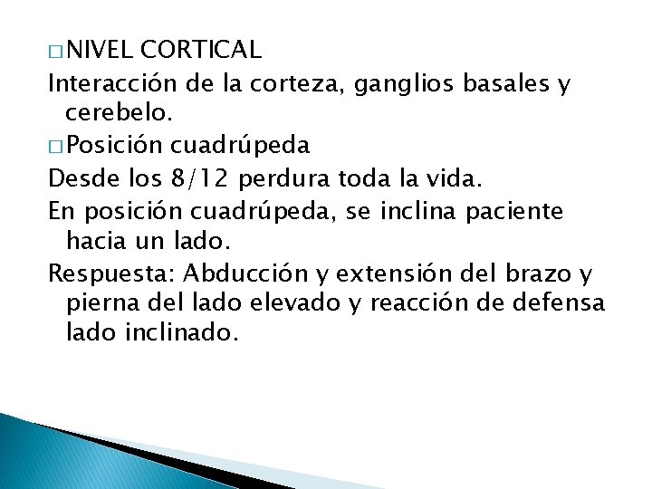 � NIVEL CORTICAL Interacción de la corteza, ganglios basales y cerebelo. � Posición cuadrúpeda � NIVEL CORTICAL Interacción de la corteza, ganglios basales y cerebelo. � Posición cuadrúpeda