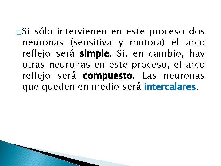 �Si sólo intervienen en este proceso dos neuronas (sensitiva y motora) el arco reflejo �Si sólo intervienen en este proceso dos neuronas (sensitiva y motora) el arco reflejo