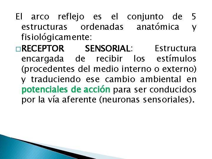 El arco reflejo es el conjunto de 5 estructuras ordenadas anatómica y fisiológicamente: �RECEPTOR El arco reflejo es el conjunto de 5 estructuras ordenadas anatómica y fisiológicamente: �RECEPTOR