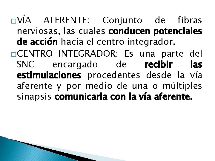 �VÍA AFERENTE: Conjunto de fibras nerviosas, las cuales conducen potenciales de acción hacia el �VÍA AFERENTE: Conjunto de fibras nerviosas, las cuales conducen potenciales de acción hacia el