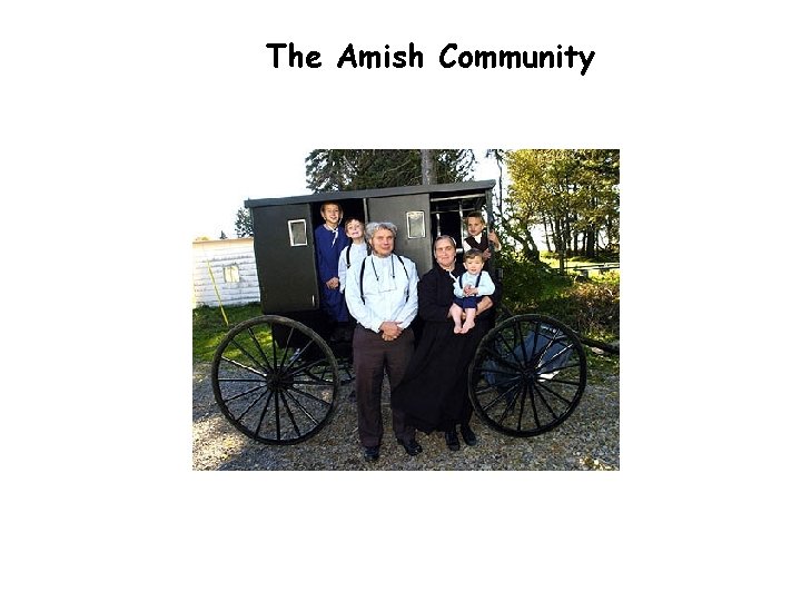 The Amish Community 