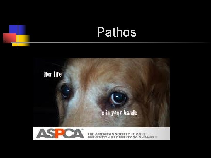 Pathos 