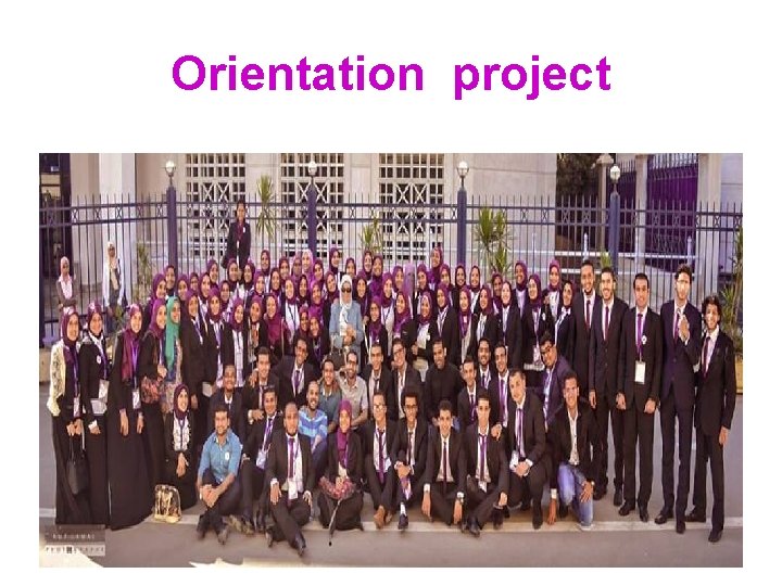 Orientation project 