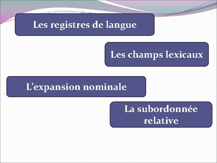 Les registres de langue Les champs lexicaux L’expansion nominale La subordonnée relative 