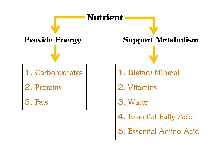 Nutrient Provide Energy Support Metabolism 1. Carbohydrates 2. Proteins 3. Fats 1. Dietary Mineral