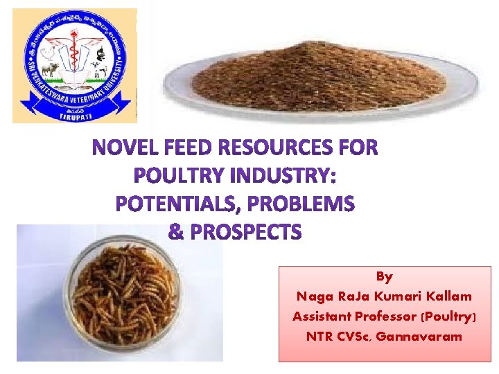 By Naga Ra. Ja Kumari Kallam Assistant Professor (Poultry) NTR CVSc, Gannavaram 