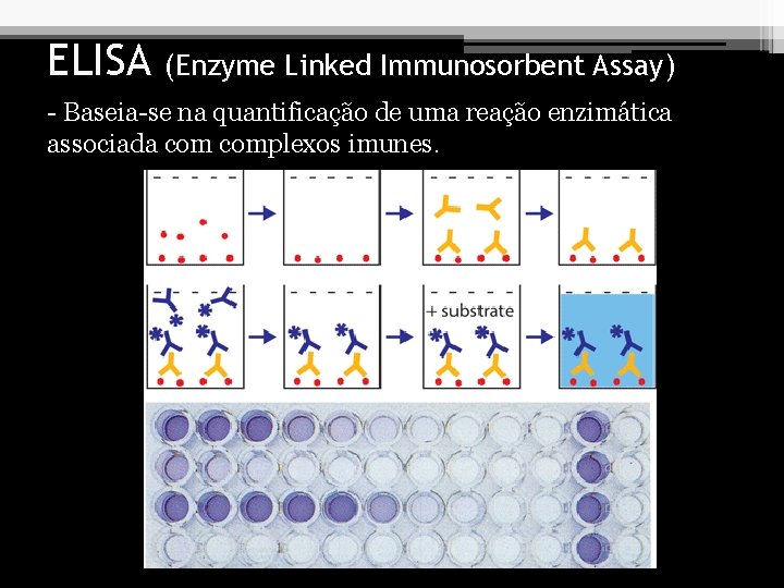 ELISA (Enzyme Linked Immunosorbent Assay) - Baseia-se na quantificação de uma reação enzimática associada