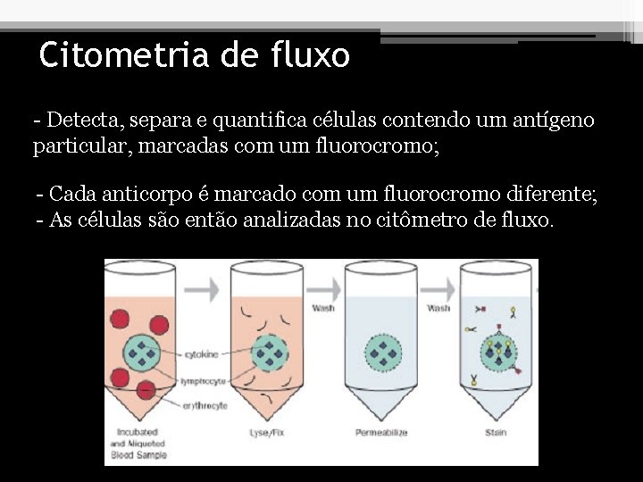 Citometria de fluxo - Detecta, separa e quantifica células contendo um antígeno particular, marcadas