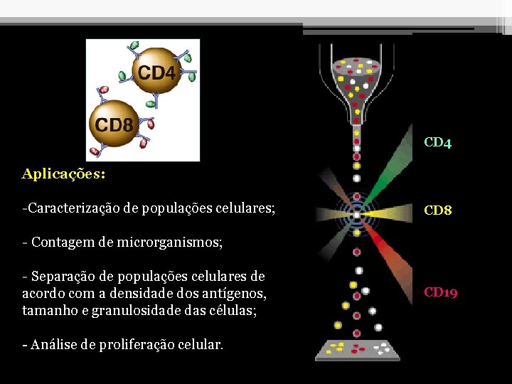 CD 4 Aplicações: -Caracterização de populações celulares; CD 8 - Contagem de microrganismos; -