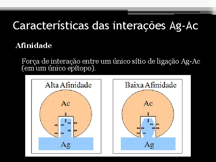 Características das interações Ag-Ac Afinidade Força de interação entre um único sítio de ligação