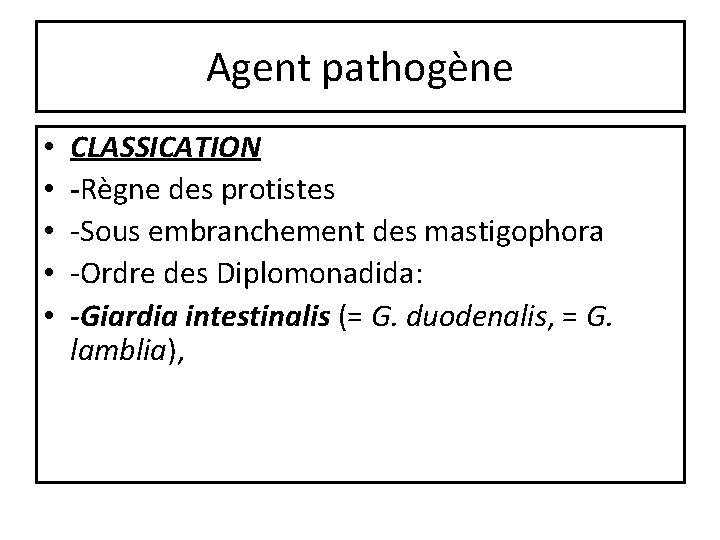 Agent pathogène • • • CLASSICATION -Règne des protistes -Sous embranchement des mastigophora -Ordre