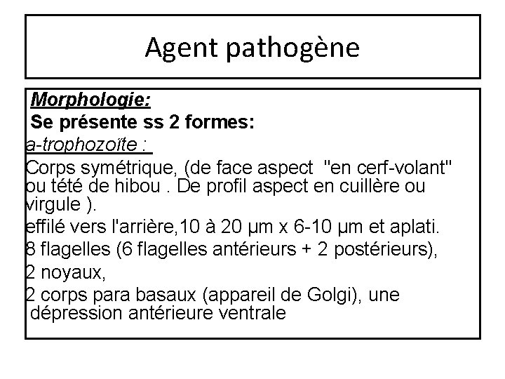 Agent pathogène Morphologie: Se présente ss 2 formes: a-trophozoïte : Corps symétrique, (de face