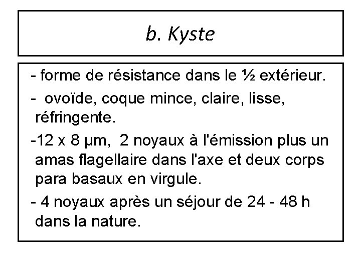 b. Kyste - forme de résistance dans le ½ extérieur. - ovoïde, coque mince,