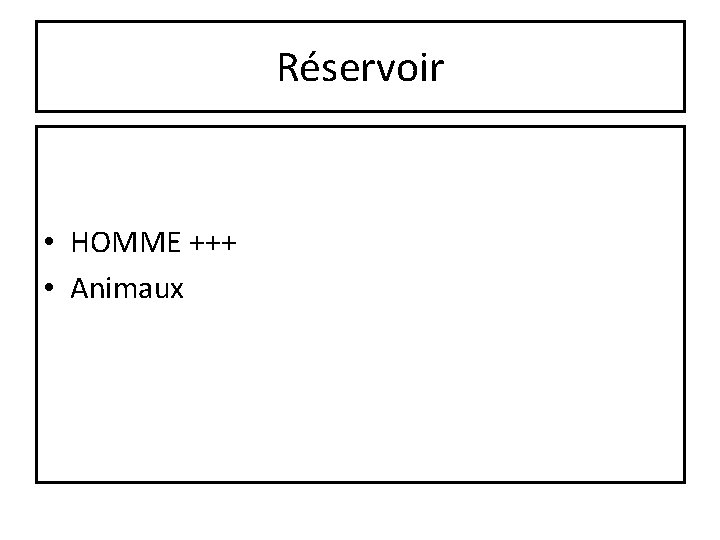 Réservoir • HOMME +++ • Animaux 