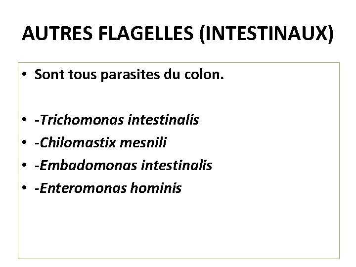 AUTRES FLAGELLES (INTESTINAUX) • Sont tous parasites du colon. • • -Trichomonas intestinalis -Chilomastix