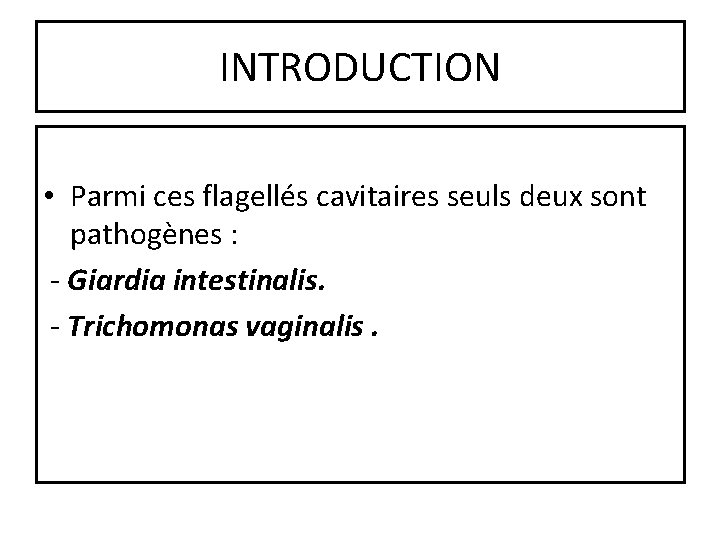 INTRODUCTION • Parmi ces flagellés cavitaires seuls deux sont pathogènes : - Giardia intestinalis.
