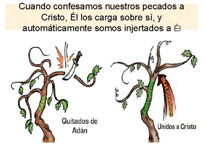 Cuando confesamos nuestros pecados a Cristo, Él los carga sobre sí, y automáticamente somos