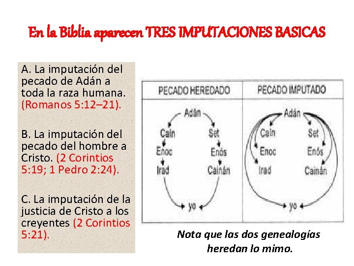 En la Biblia aparecen TRES IMPUTACIONES BASICAS A. La imputación del pecado de Adán