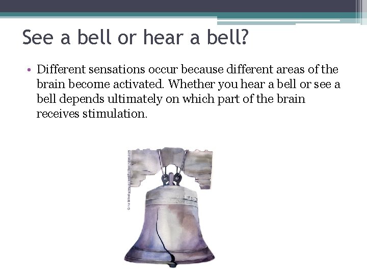 See a bell or hear a bell? • Different sensations occur because different areas