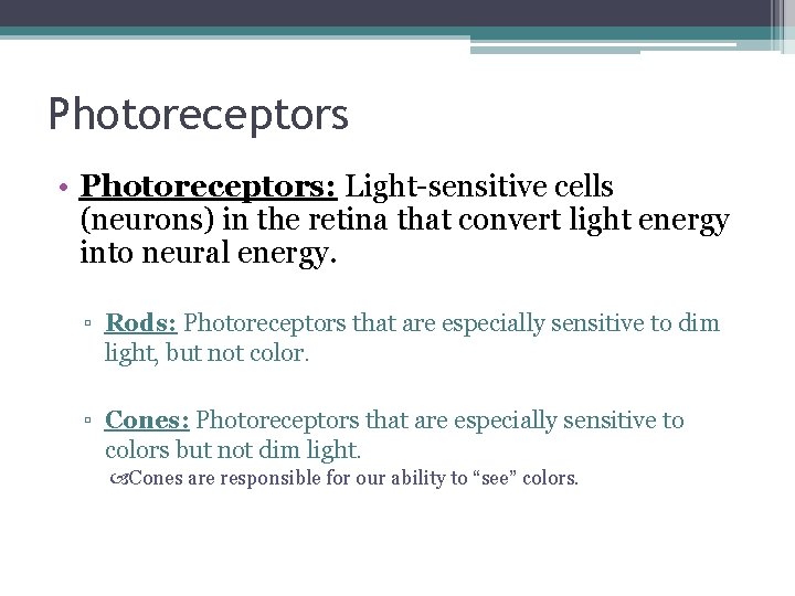Photoreceptors • Photoreceptors: Light-sensitive cells (neurons) in the retina that convert light energy into