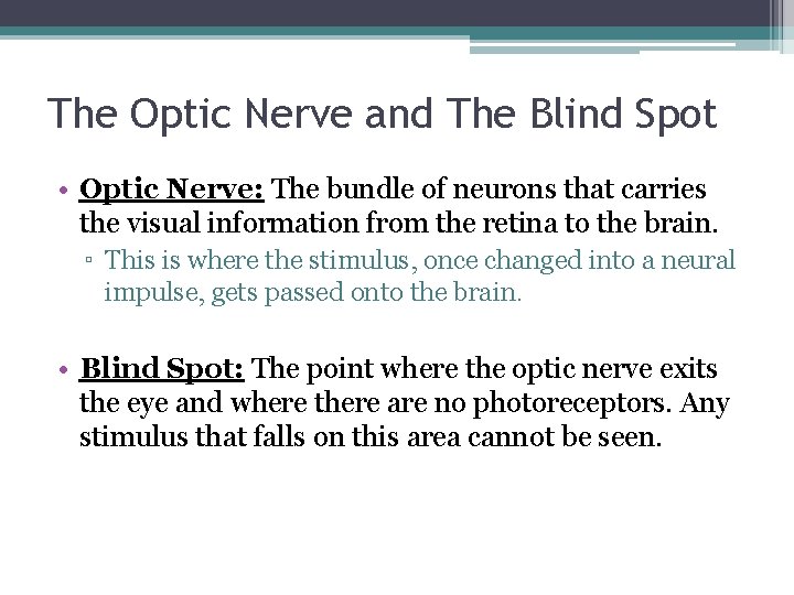 The Optic Nerve and The Blind Spot • Optic Nerve: The bundle of neurons
