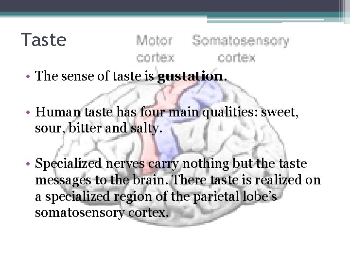 Taste • The sense of taste is gustation. • Human taste has four main