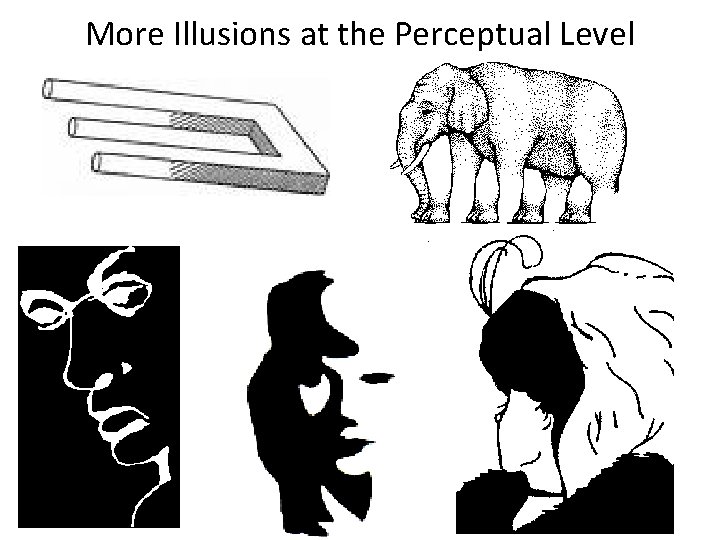 More Illusions at the Perceptual Level 