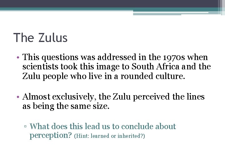 The Zulus • This questions was addressed in the 1970 s when scientists took