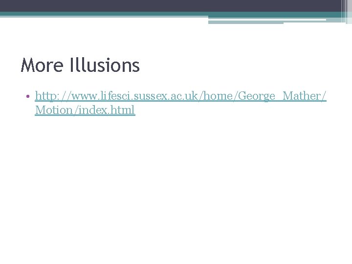 More Illusions • http: //www. lifesci. sussex. ac. uk/home/George_Mather/ Motion/index. html 