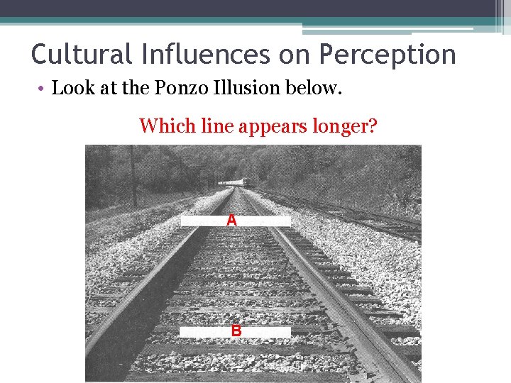 Cultural Influences on Perception • Look at the Ponzo Illusion below. Which line appears