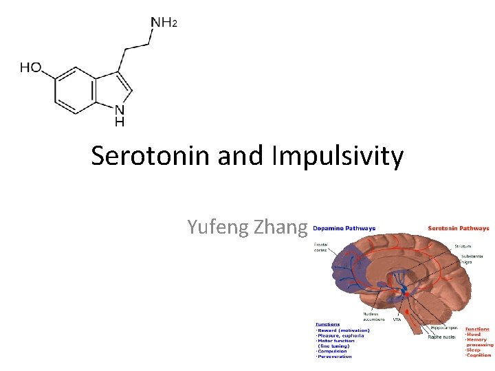 Serotonin and Impulsivity Yufeng Zhang 