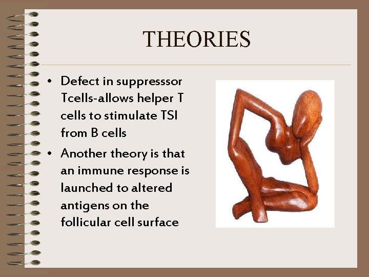 THEORIES • Defect in suppresssor Tcells-allows helper T cells to stimulate TSI from B