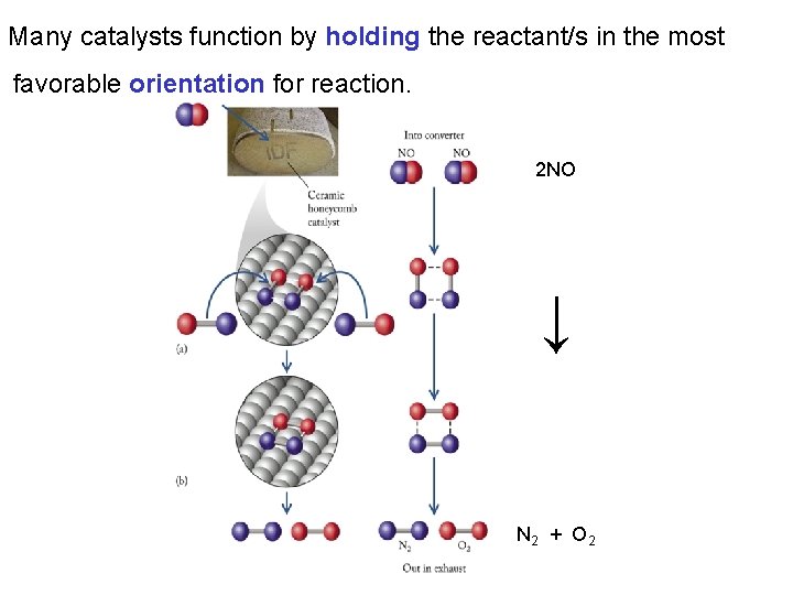 Many catalysts function by holding the reactant/s in the most favorable orientation for reaction.