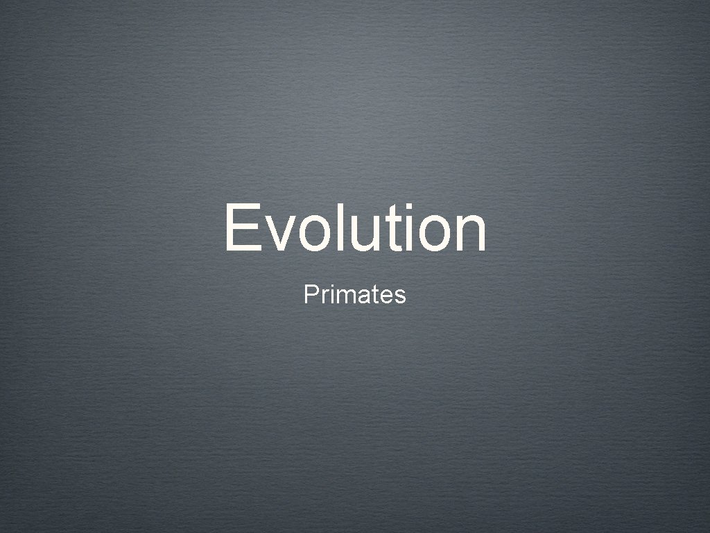 Evolution Primates 