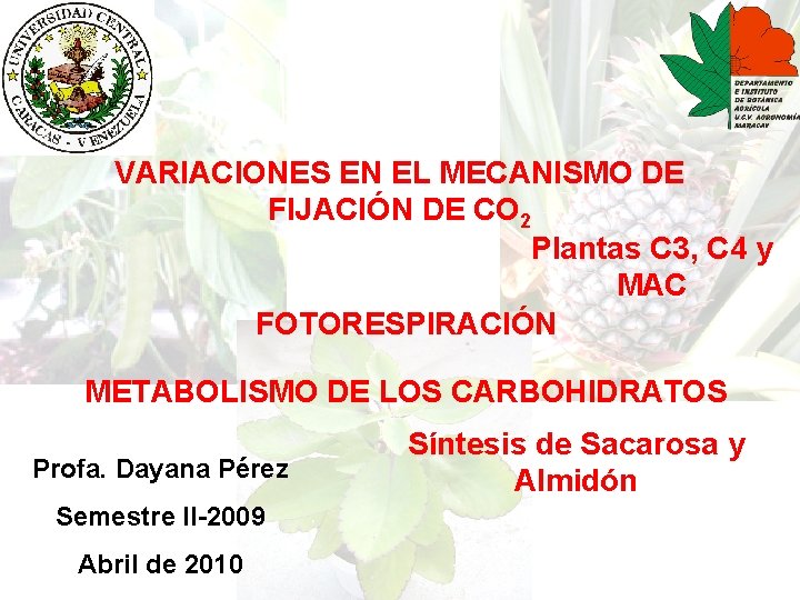 VARIACIONES EN EL MECANISMO DE FIJACIÓN DE CO 2 Plantas C 3, C 4