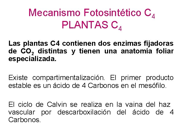 Mecanismo Fotosintético C 4 PLANTAS C 4 Las plantas C 4 contienen dos enzimas