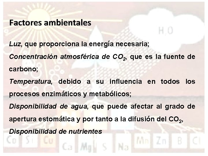 Factores ambientales Luz, que proporciona la energía necesaria; Concentración atmosférica de CO 2, que