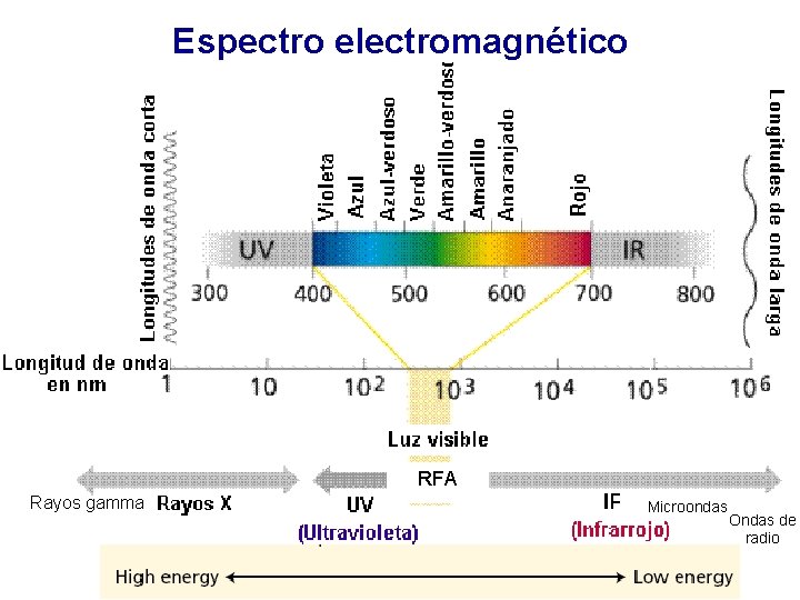 Espectro electromagnético RFA Rayos gamma Microondas Ondas de radio 