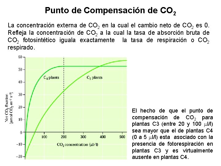 Punto de Compensación de CO 2 La concentración externa de CO 2 en la