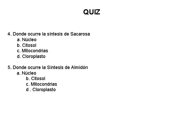 QUIZ 4. Donde ocurre la síntesis de Sacarosa a. Núcleo b. Citosol c. Mitocondrias