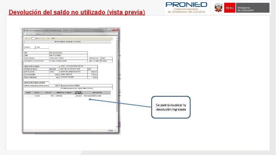 Devolución del saldo no utilizado (vista previa) Se podrá visualizar la devolución ingresada 