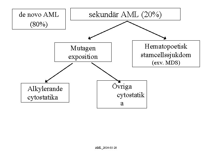de novo AML (80%) sekundär AML (20%) Hematopoetisk stamcellssjukdom Mutagen exposition Alkylerande cytostatika (exv.