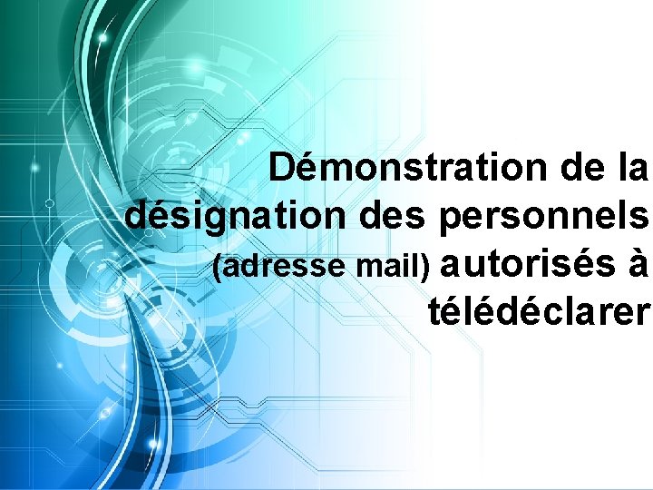Démonstration de la désignation des personnels (adresse mail) autorisés à télédéclarer 
