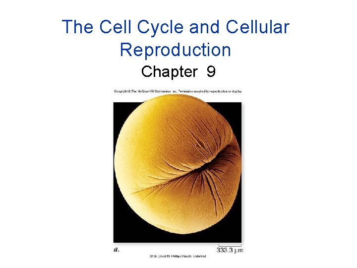 The Cell Cycle and Cellular Reproduction Chapter 9 