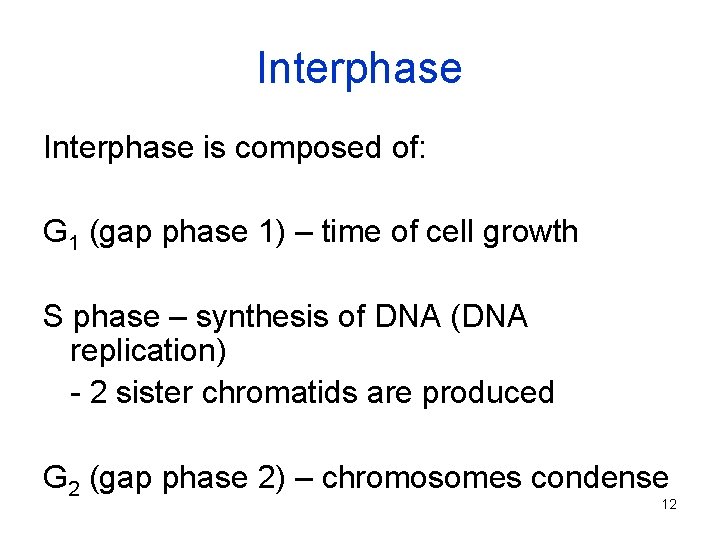 Interphase is composed of: G 1 (gap phase 1) – time of cell growth