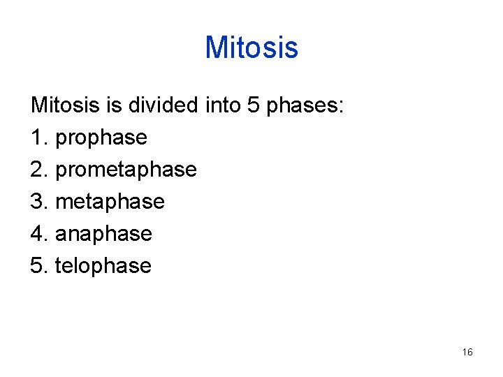 Mitosis is divided into 5 phases: 1. prophase 2. prometaphase 3. metaphase 4. anaphase