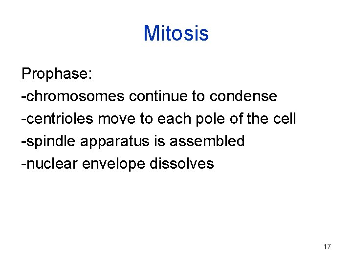 Mitosis Prophase: -chromosomes continue to condense -centrioles move to each pole of the cell