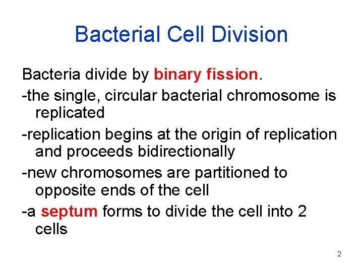 Bacterial Cell Division Bacteria divide by binary fission. -the single, circular bacterial chromosome is