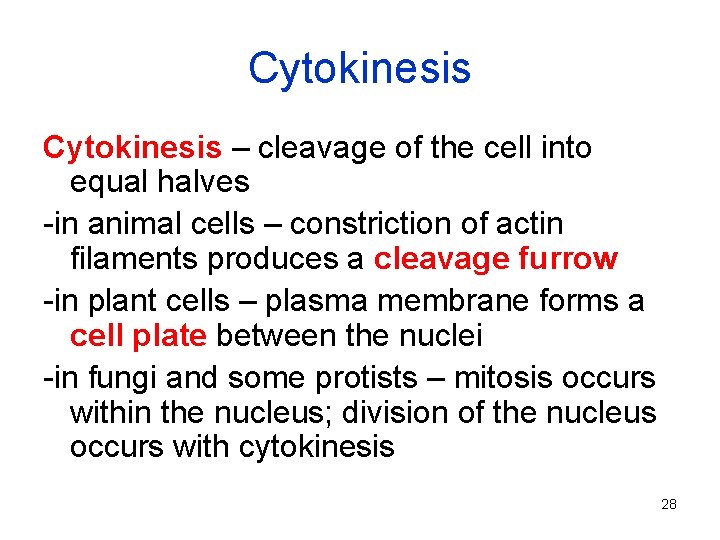 Cytokinesis – cleavage of the cell into equal halves -in animal cells – constriction